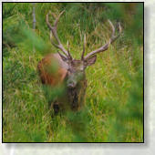 AKTIVNOSTI  V OKOLICI GOZDNE KOČE STUDENO