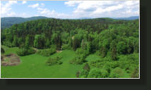 Gozdna koča Studeno