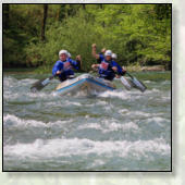 AKTIVNOSTI  V OKOLICI GOZDNE KOE STUDENO