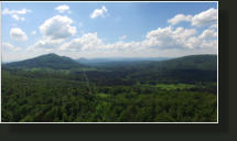 Gozdna koča Studeno