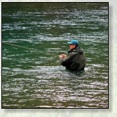 AKTIVNOSTI  V OKOLICI GOZDNE KOČE STUDENO