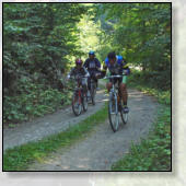 AKTIVNOSTI  V OKOLICI GOZDNE KOČE STUDENO