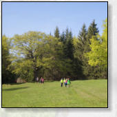 AKTIVNOSTI  V OKOLICI GOZDNE KOČE STUDENO